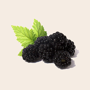 Group of Blackberries with green leaves behind them.